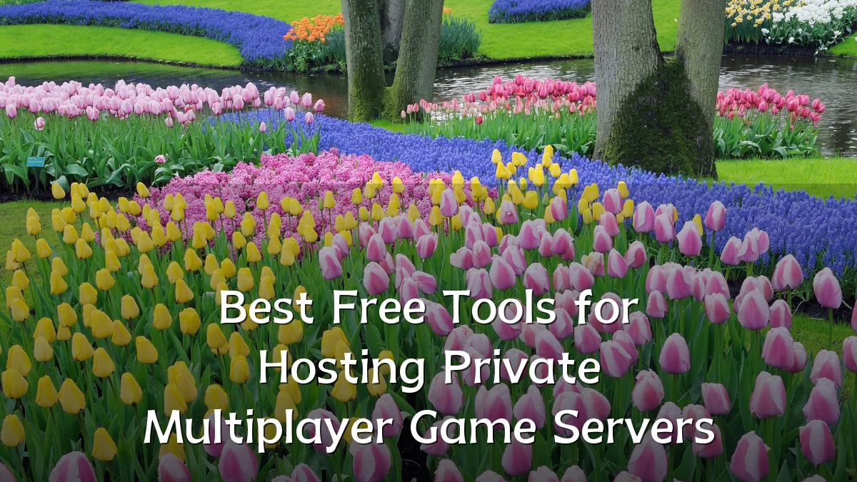 Best Free Tools for Hosting Private Multiplayer Game Servers