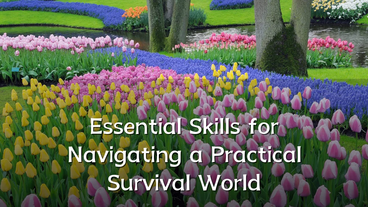 Essential Skills for Navigating a Practical Survival World