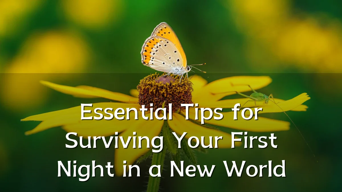 Essential Tips for Surviving Your First Night in a New World
