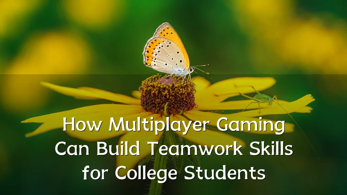 How Multiplayer Gaming Can Build Teamwork Skills for College Students
