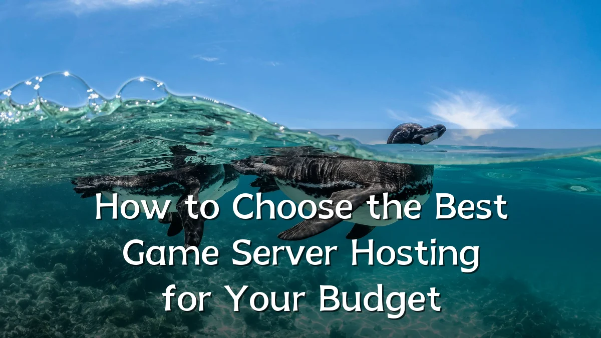 How to Choose the Best Game Server Hosting for Your Budget