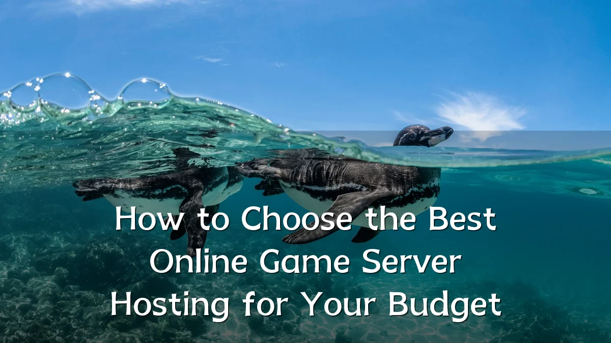 How to Choose the Best Online Game Server Hosting for Your Budget