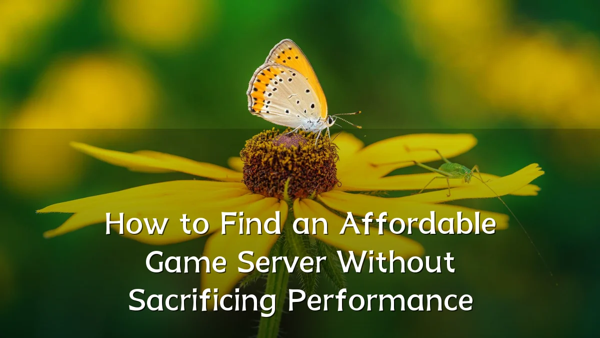 How to Find an Affordable Game Server Without Sacrificing Performance