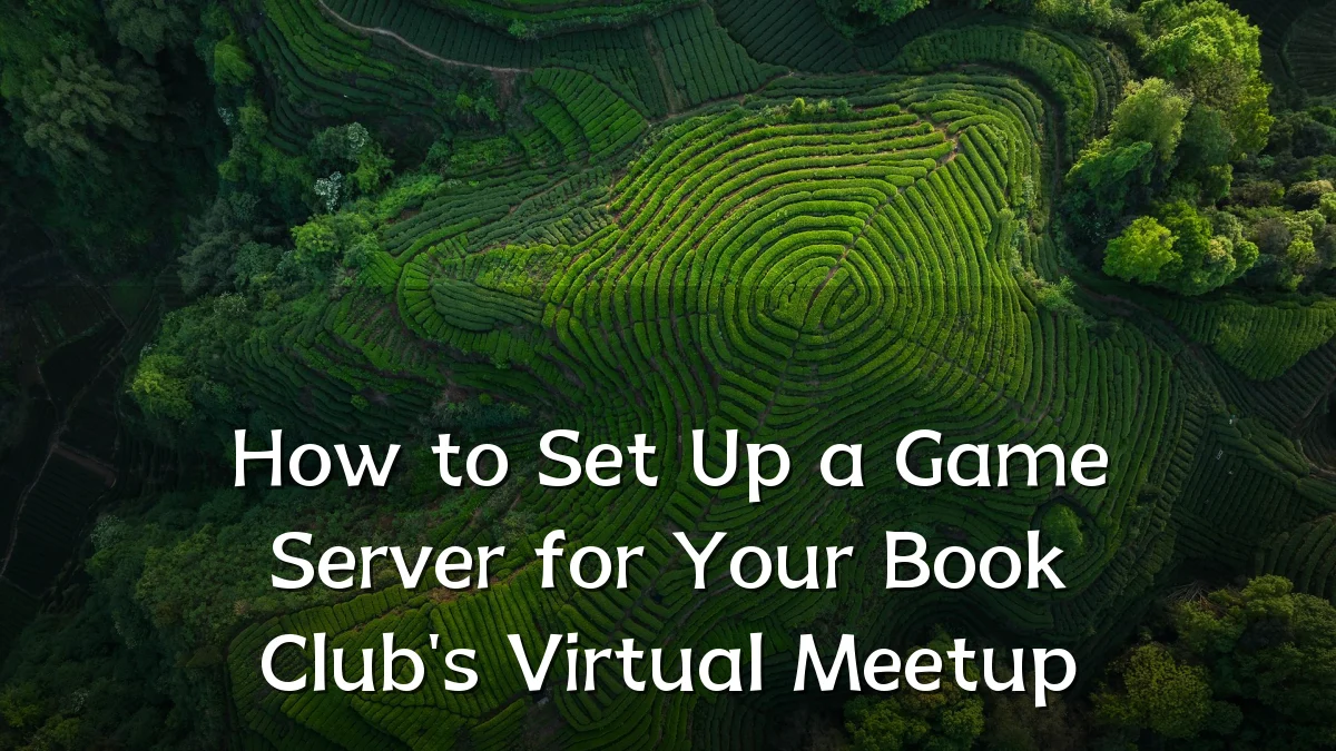 How to Set Up a Game Server for Your Book Club's Virtual Meetup