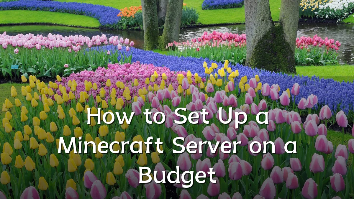 How to Set Up a Minecraft Server on a Budget