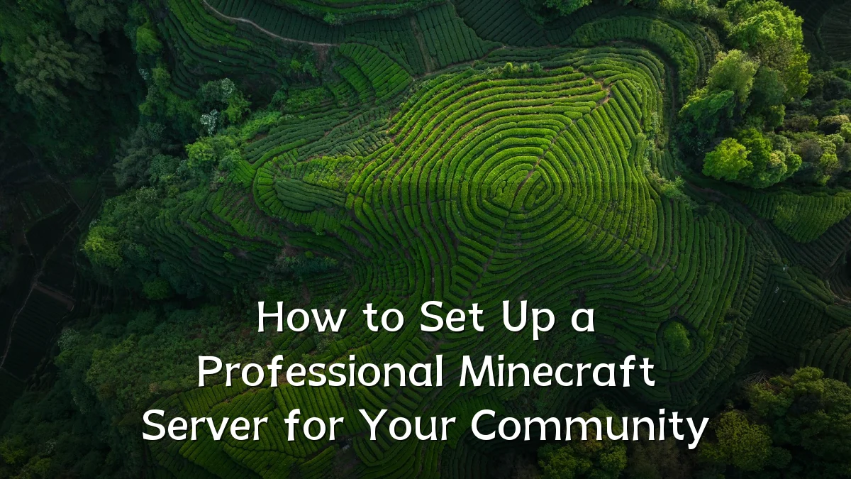 How to Set Up a Professional Minecraft Server for Your Community