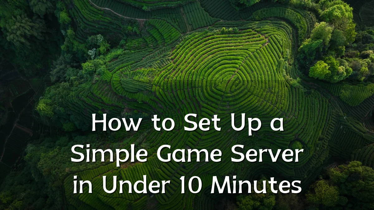 How to Set Up a Simple Game Server in Under 10 Minutes