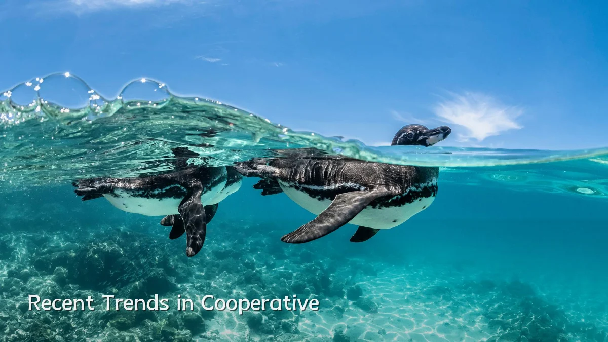 Recent Trends in Cooperative