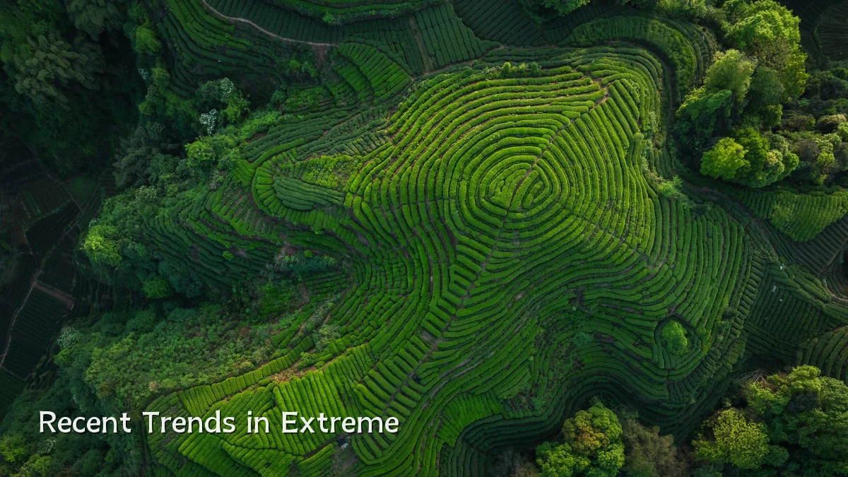 Recent Trends in Extreme