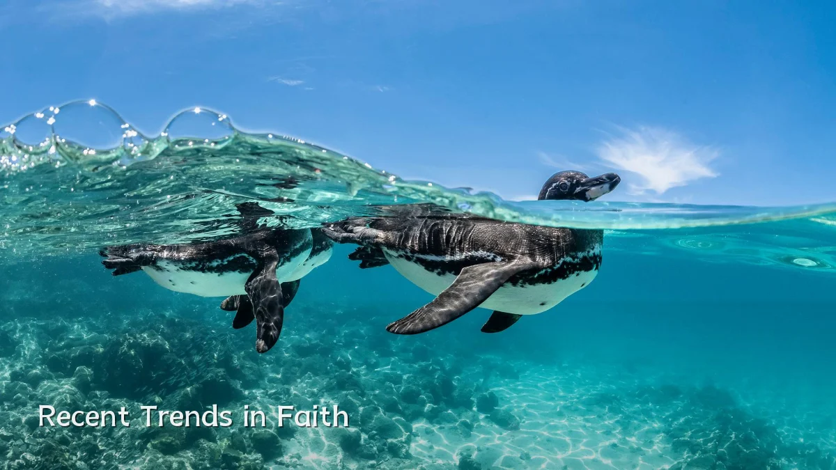 Recent Trends in Faith