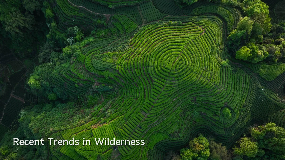 Recent Trends in Wilderness