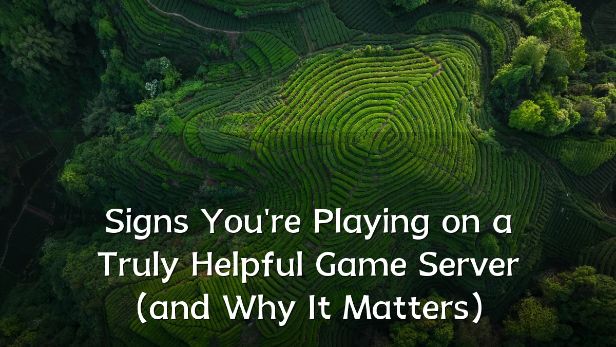 Signs You're Playing on a Truly Helpful Game Server (and Why It Matters)