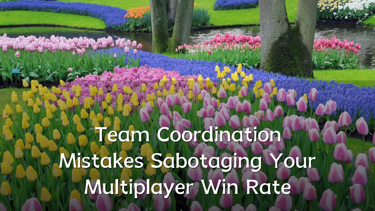 Team Coordination Mistakes Sabotaging Your Multiplayer Win Rate