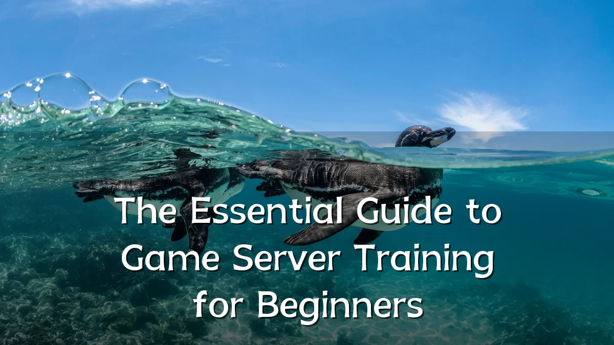 The Essential Guide to Game Server Training for Beginners