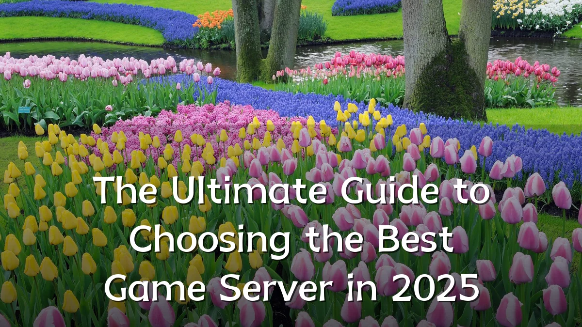 The Ultimate Guide to Choosing the Best Game Server in 2025