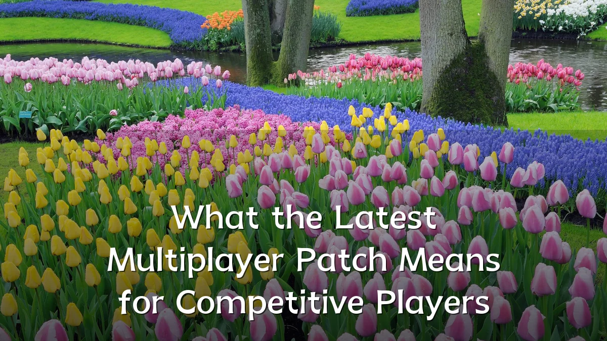 What the Latest Multiplayer Patch Means for Competitive Players