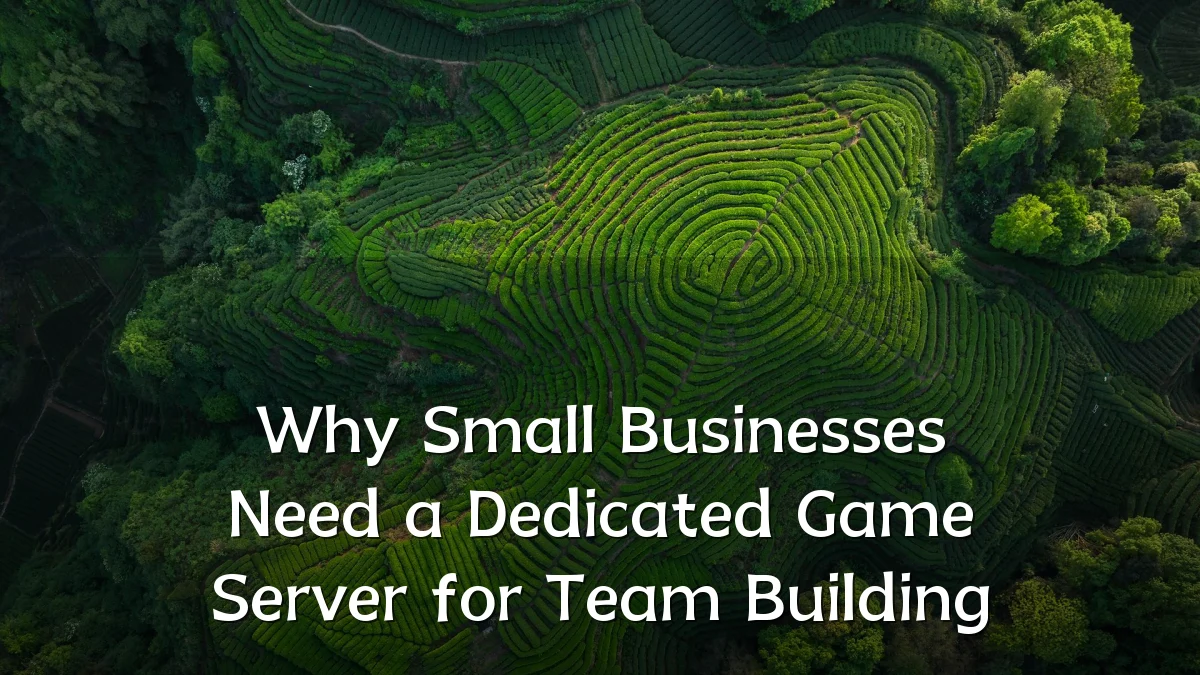 Why Small Businesses Need a Dedicated Game Server for Team Building