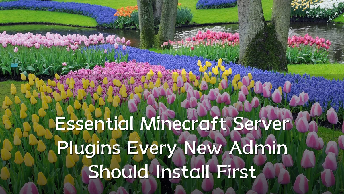 Essential Minecraft Server Plugins Every New Admin Should Install First