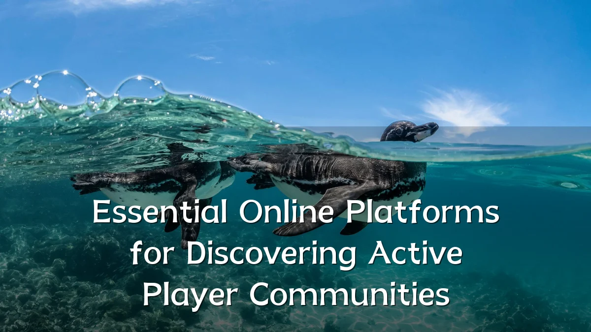Essential Online Platforms for Discovering Active Player Communities