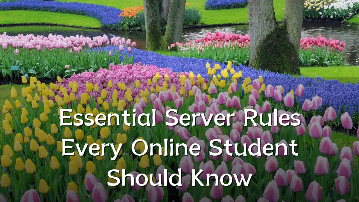 Essential Server Rules Every Online Student Should Know