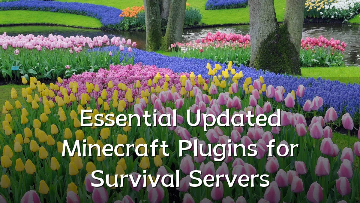Essential Updated Minecraft Plugins for Survival Servers
