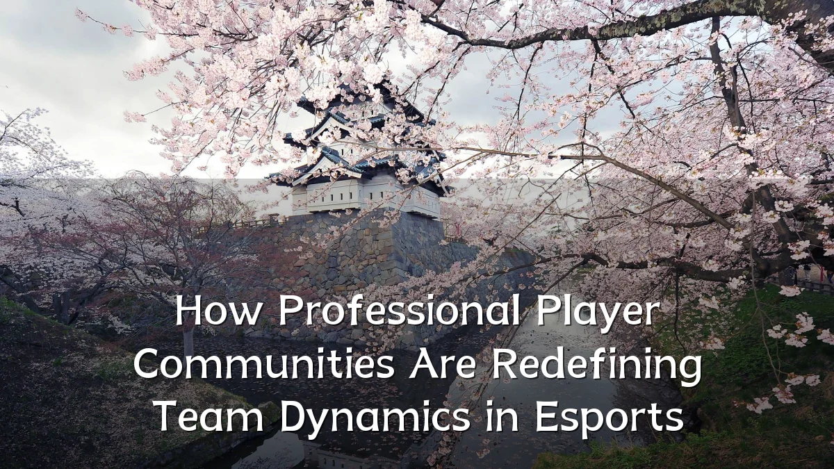 How Professional Player Communities Are Redefining Team Dynamics in Esports