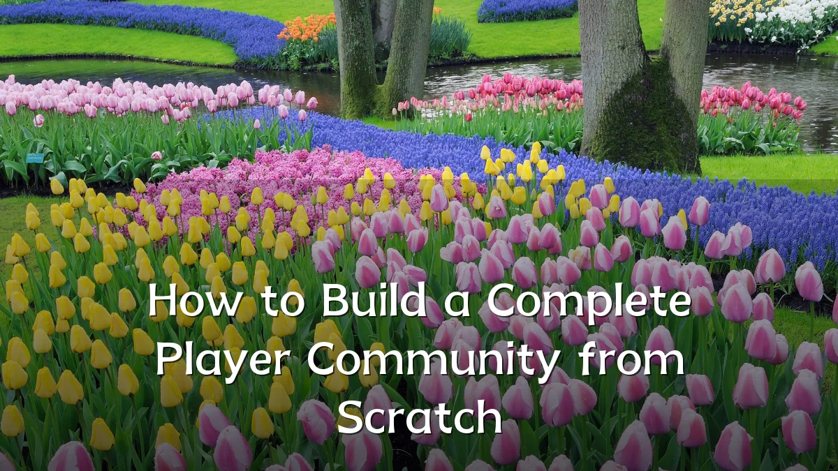 How to Build a Complete Player Community from Scratch