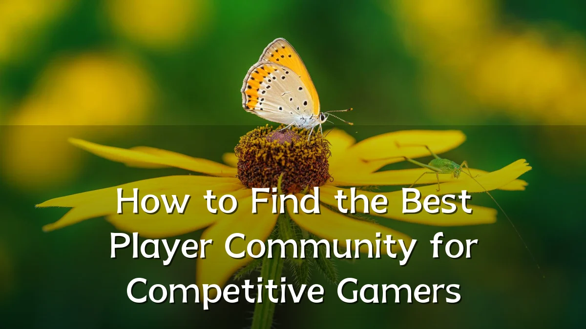 How to Find the Best Player Community for Competitive Gamers