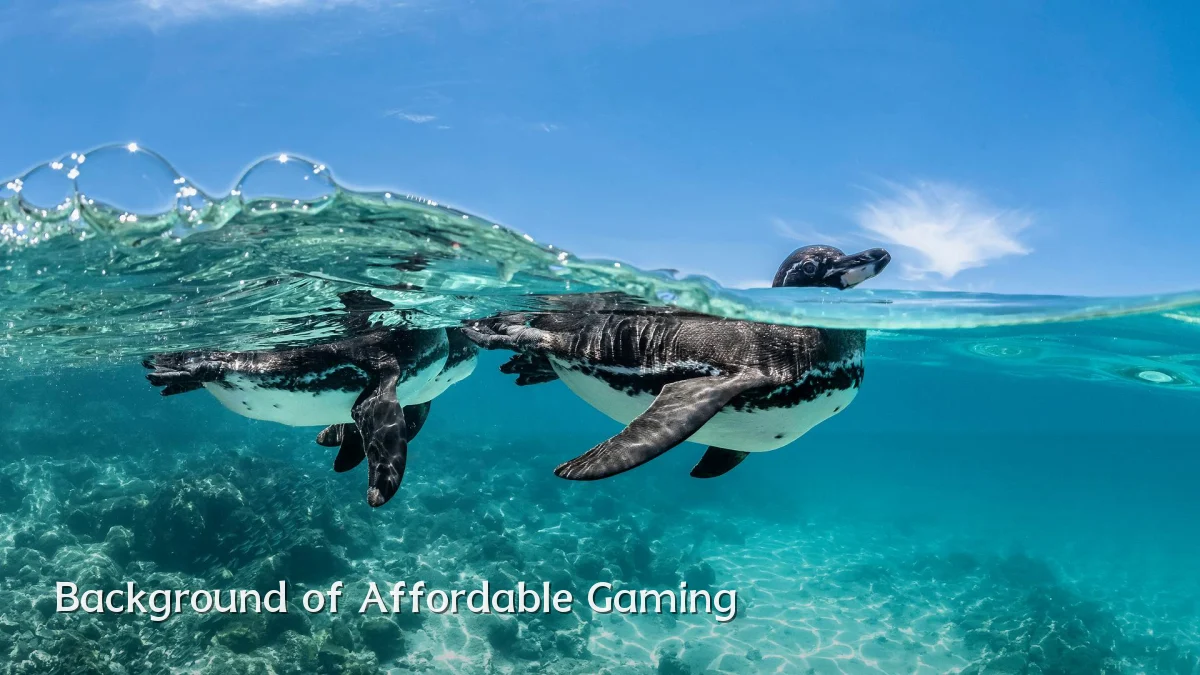 Background of Affordable Gaming