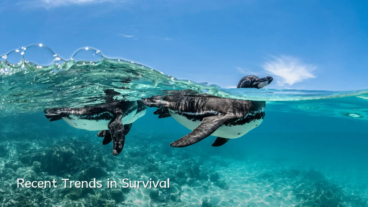Recent Trends in Survival