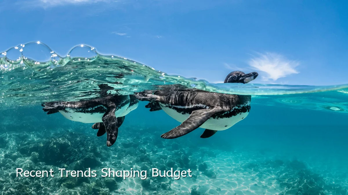 Recent Trends Shaping Budget