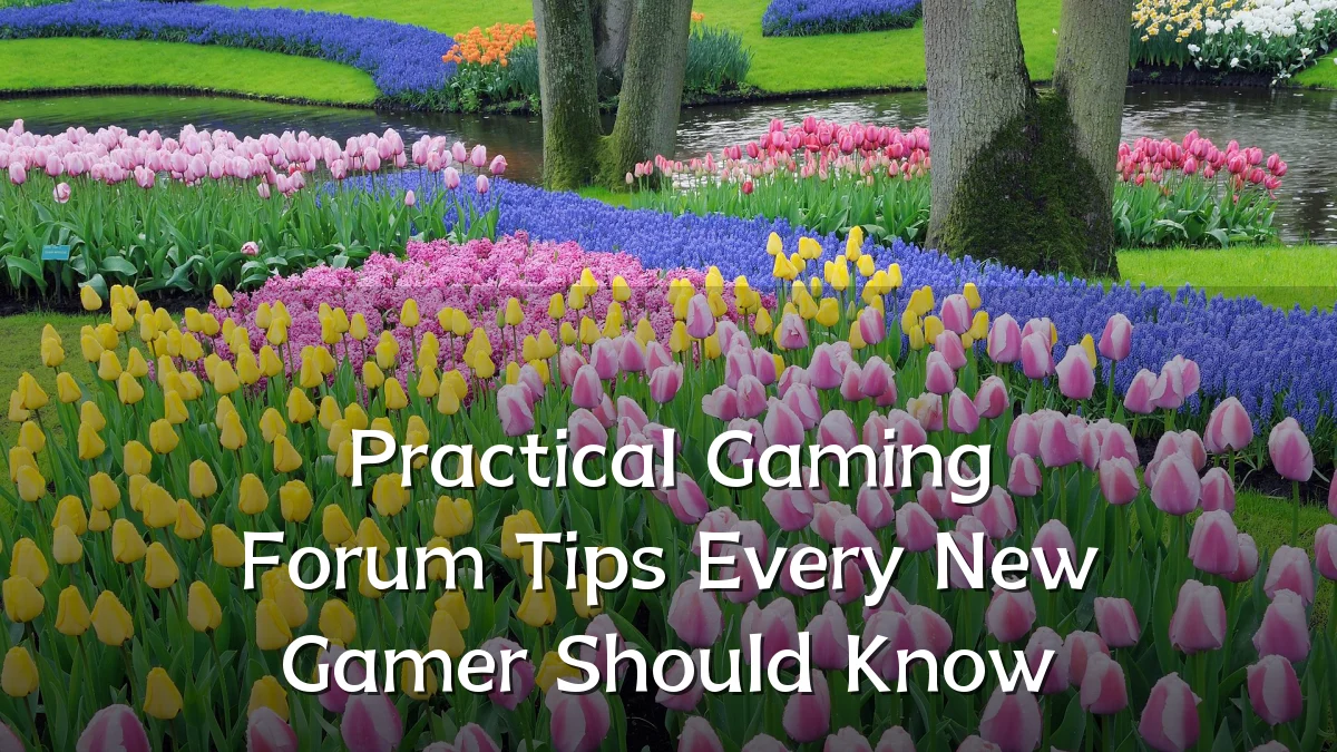 Practical Gaming Forum Tips Every New Gamer Should Know