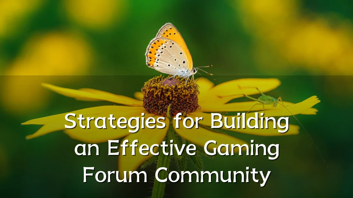 Strategies for Building an Effective Gaming Forum Community