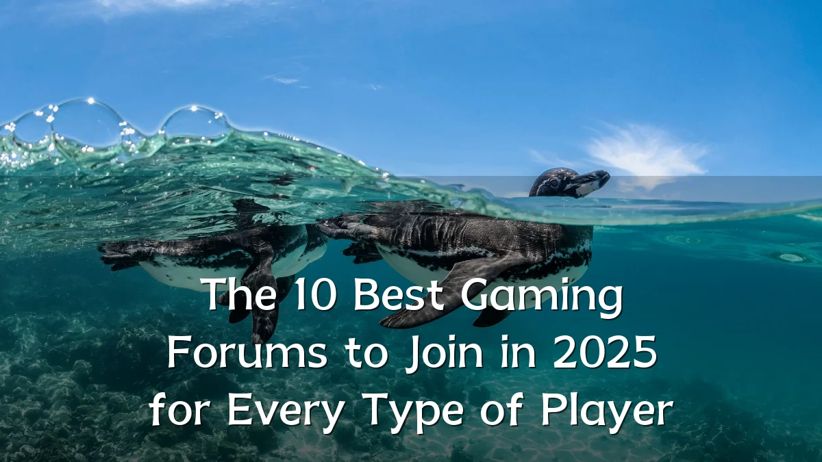 The 10 Best Gaming Forums to Join in 2025 for Every Type of Player