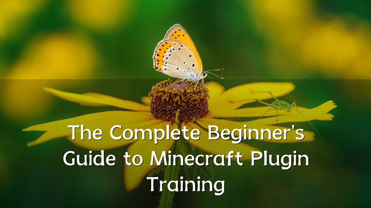 The Complete Beginner's Guide to Minecraft Plugin Training