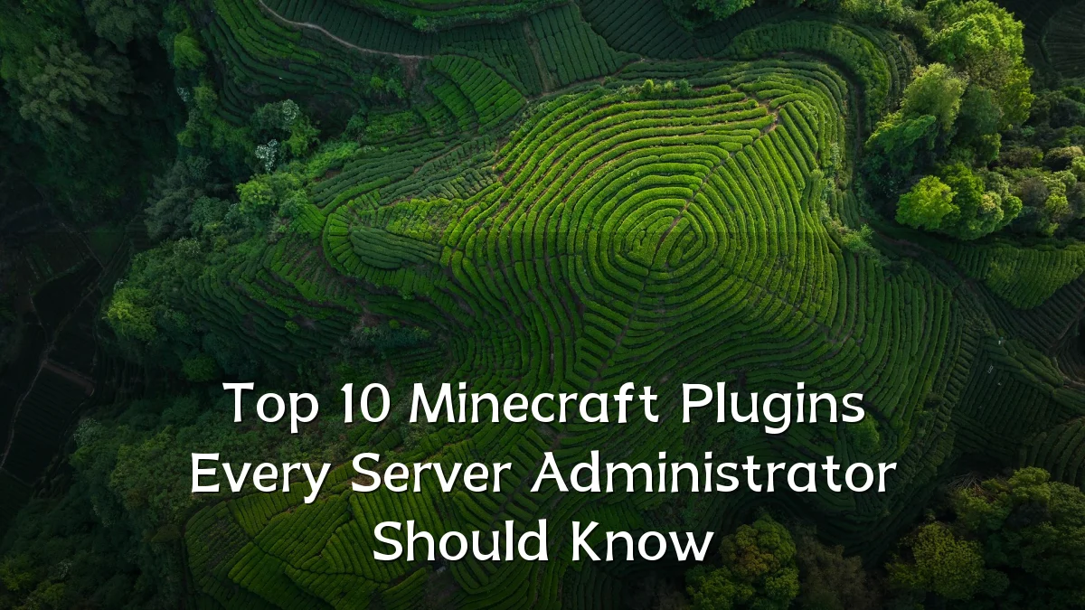Top 10 Minecraft Plugins Every Server Administrator Should Know