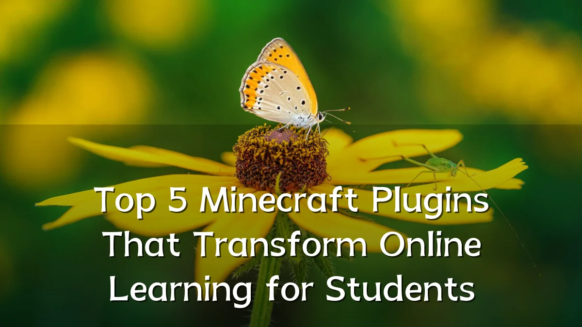 Top 5 Minecraft Plugins That Transform Online Learning for Students