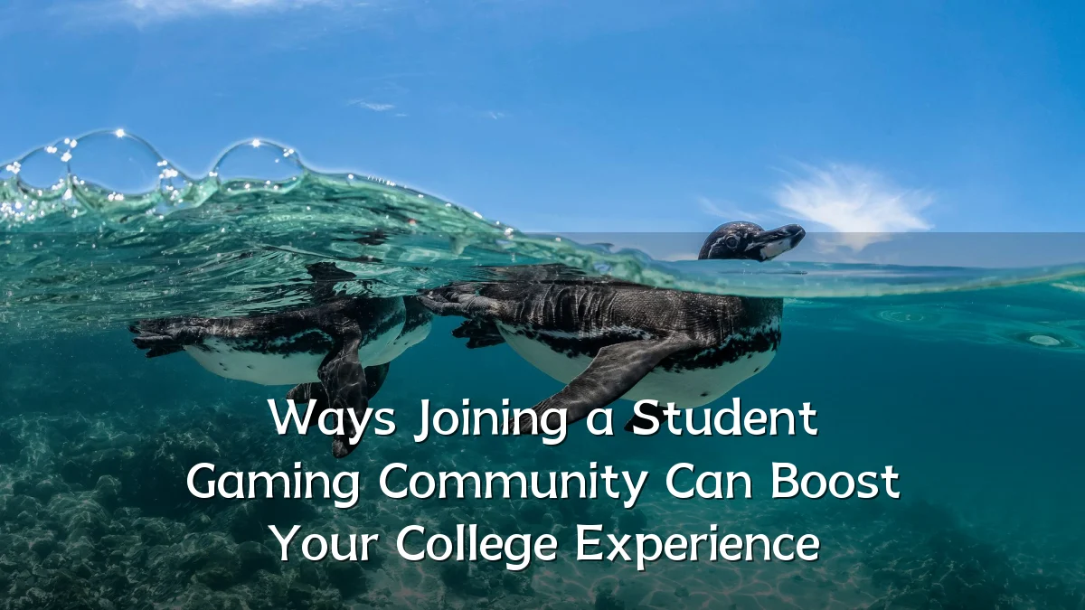 Ways Joining a Student Gaming Community Can Boost Your College Experience