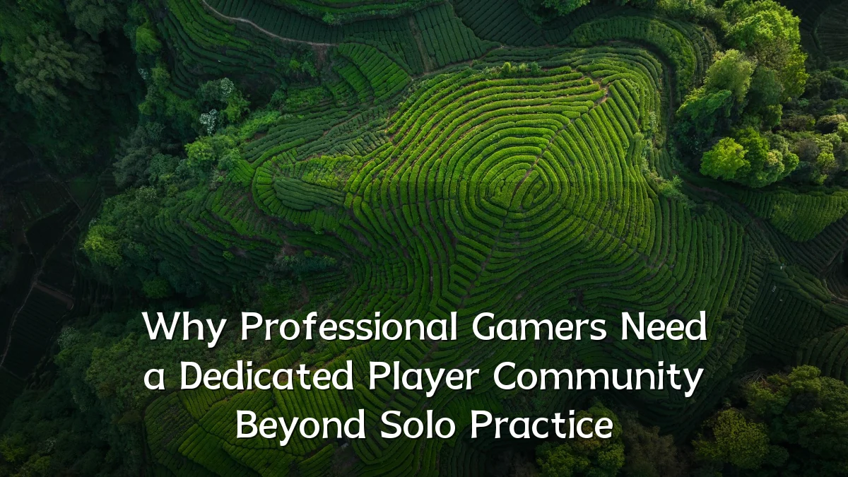 Why Professional Gamers Need a Dedicated Player Community Beyond Solo Practice
